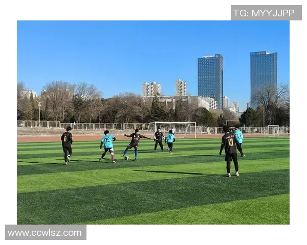 激情四溢的绿茵场上足球比赛的激烈瞬间与球员的拼搏精神