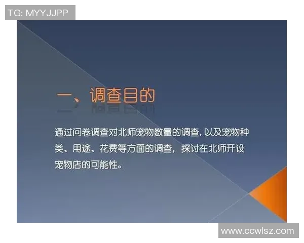 足球代打协议的法律风险与合规性探讨及其对运动员职业生涯的影响分析 足球代打协议的法律风险与合规性探讨及其对运动员职业生涯的影响分析