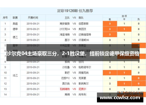 沙尔克04主场豪取三分，2-1胜汉堡，提前锁定德甲保级资格