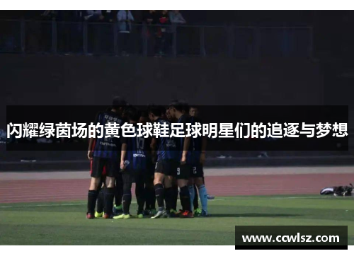 闪耀绿茵场的黄色球鞋足球明星们的追逐与梦想