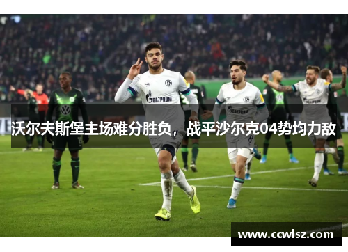 沃尔夫斯堡主场难分胜负，战平沙尔克04势均力敌