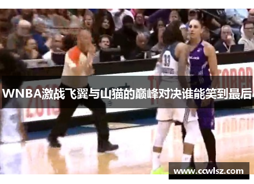 WNBA激战飞翼与山猫的巅峰对决谁能笑到最后