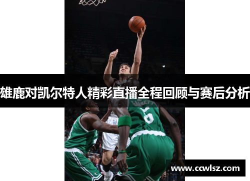 雄鹿对凯尔特人精彩直播全程回顾与赛后分析