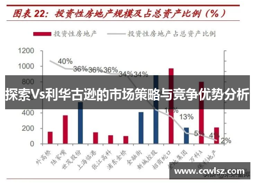 探索Vs利华古逊的市场策略与竞争优势分析