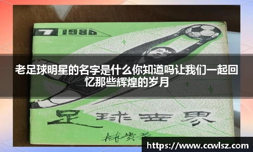 智博19有限公司